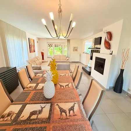 Baobab - - Jardin Willa *