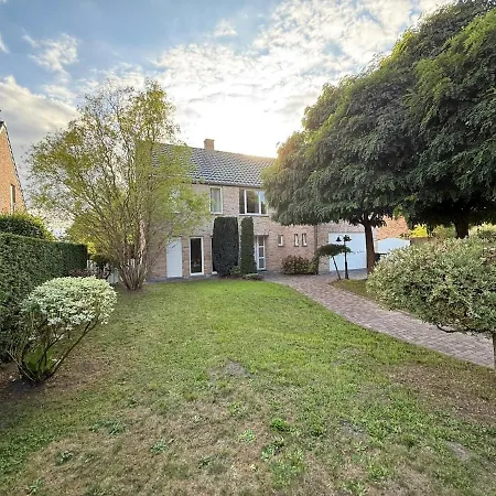 Baobab - - Jardin * Saint-Ghislain