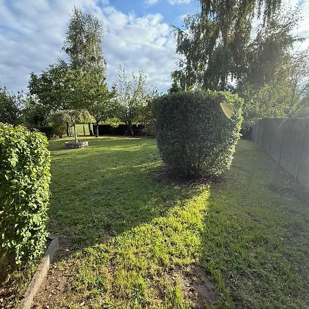 Baobab - - Jardin Villa Saint-Ghislain