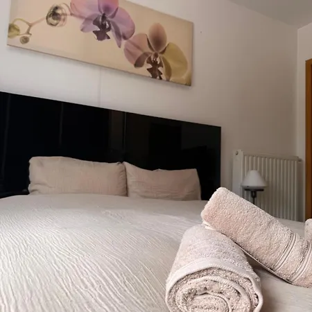 Baobab - - Jardin Villa *