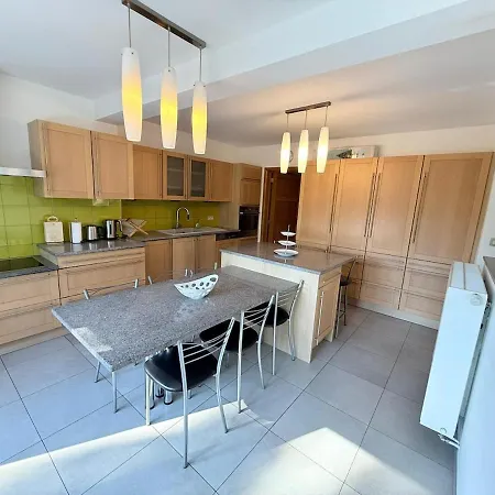 Baobab - - Jardin Villa Saint-Ghislain