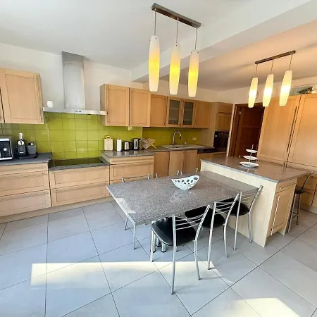 Baobab - - Jardin Villa Saint-Ghislain