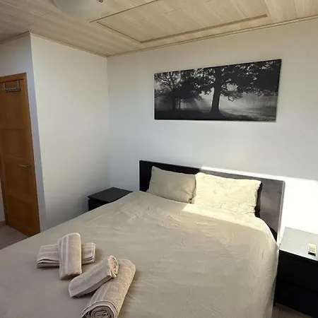 Baobab - - Jardin Villa