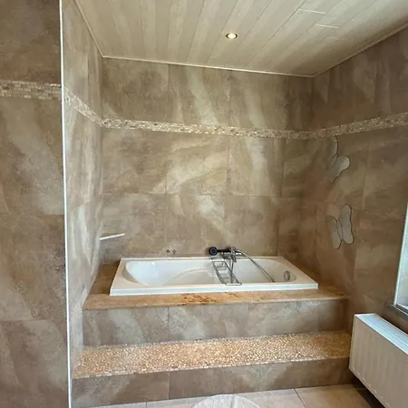 Baobab - - Jardin Saint-Ghislain