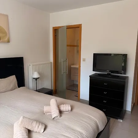 Baobab - - Jardin וילה סנט - גיסלאין